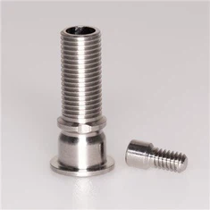 Peek Implant Abutment
